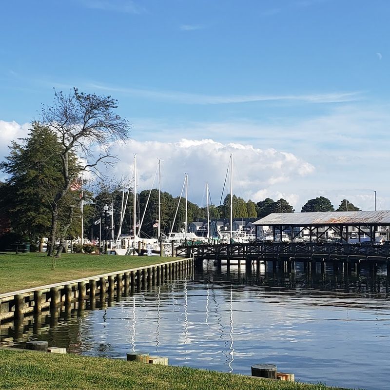 Nature Trails And Shorelines That Still Offer Escape