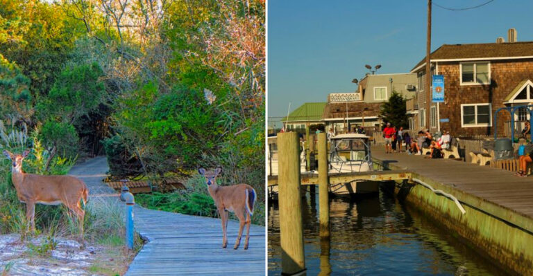 The Charming New York Island Town Where Cars Are Totally Banned