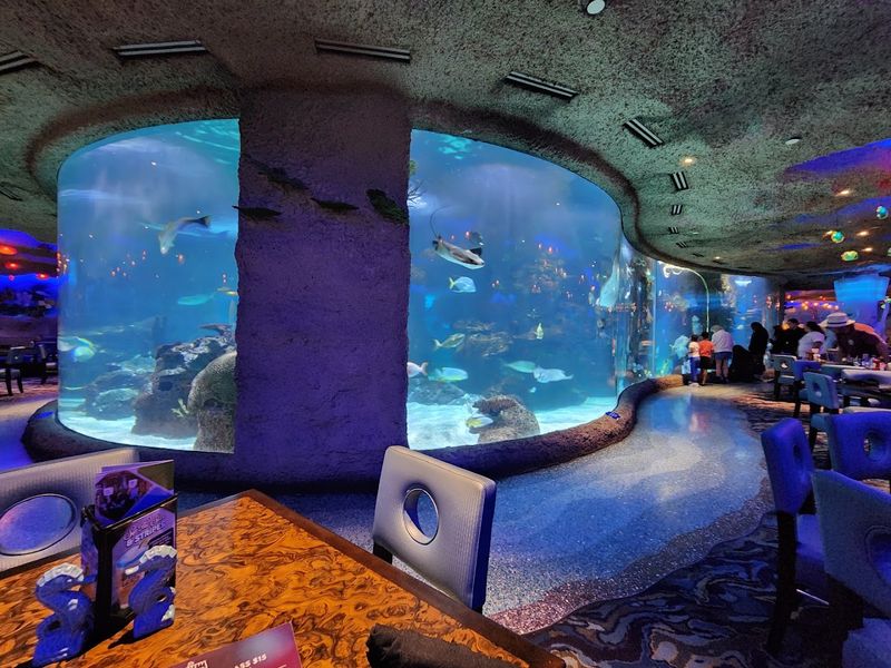 Aquarium Restaurant Turns An Ordinary Meal Into An Underwater Experience