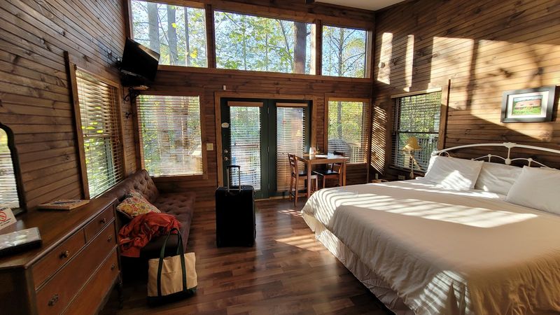A King-Size Memory Foam Bed Waits Above The Forest Floor
