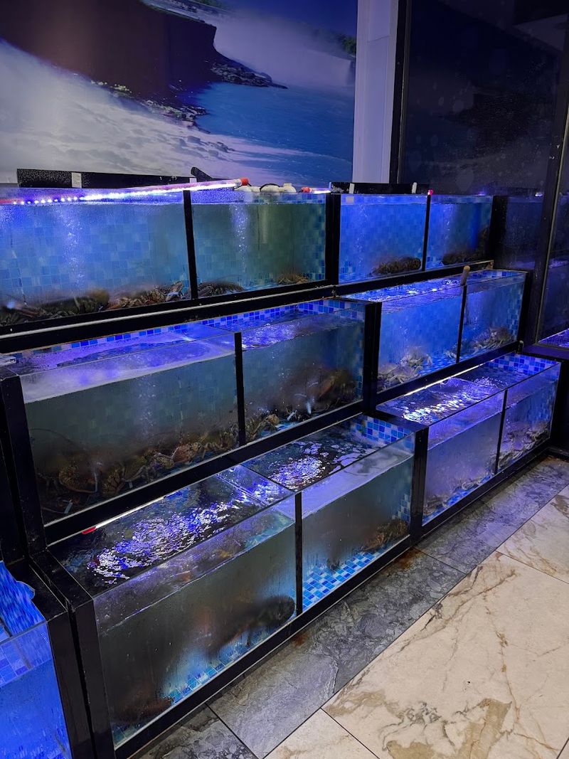 Live Tanks And The Freshness Factor