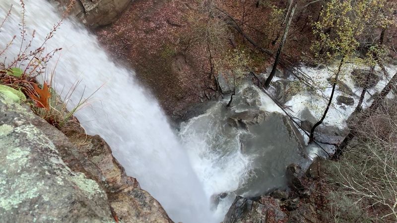 Rare Plants And Ecological Significance Beyond The Falls