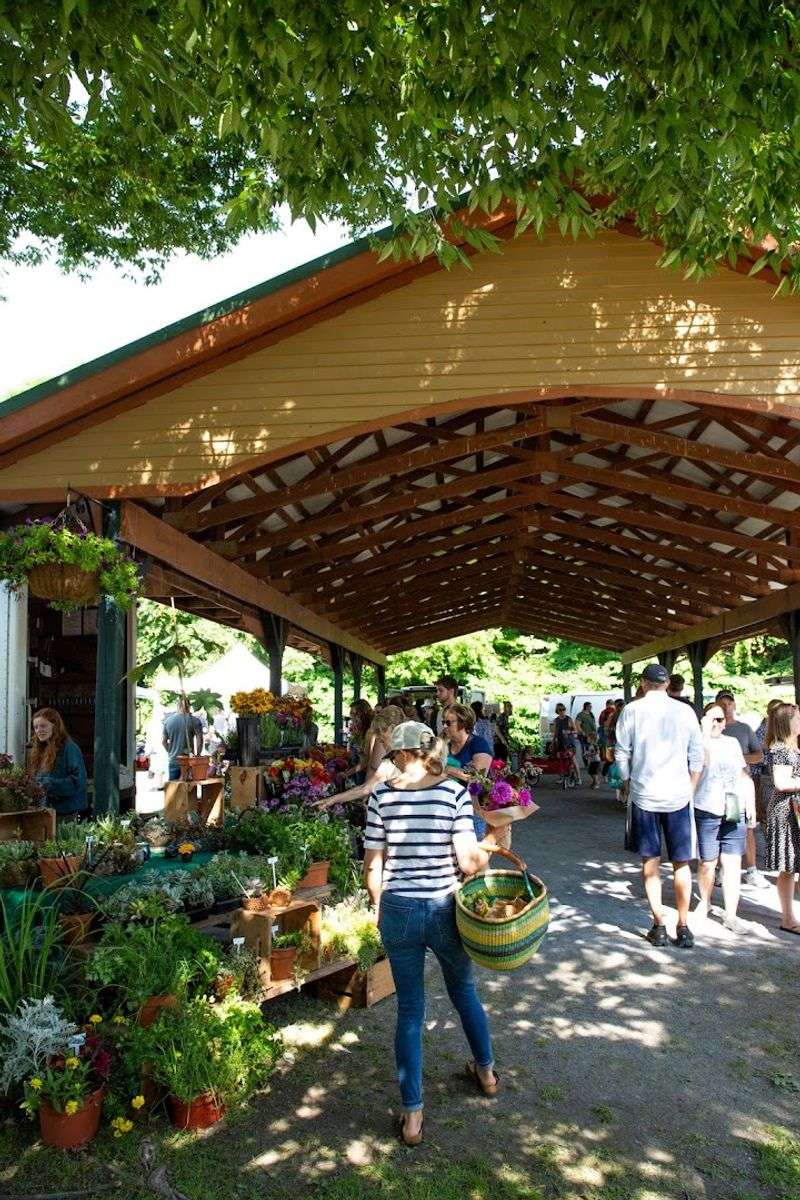 Planning Your Visit The Smart Way