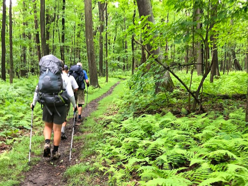 Yellow Blazes Guide Hikers Along The Point To Point Route