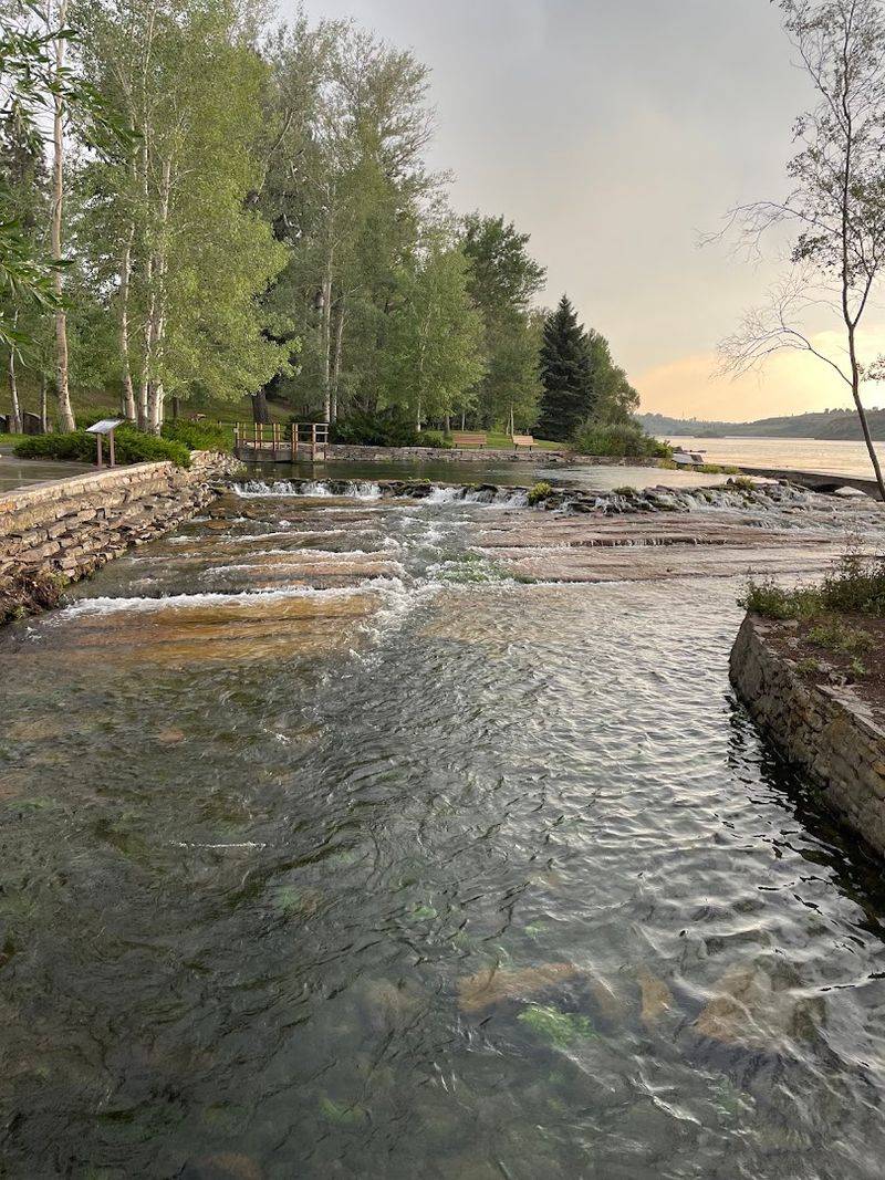 Wildlife Watching Along The Banks