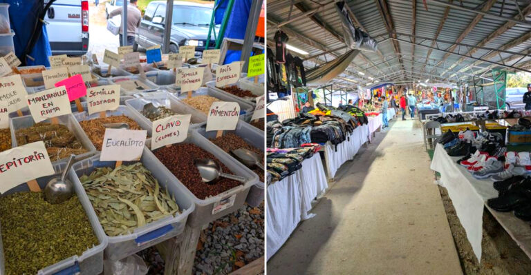 The Countryside Tennessee Market Where Sunday Shoppers Find Festival-Level Fun
