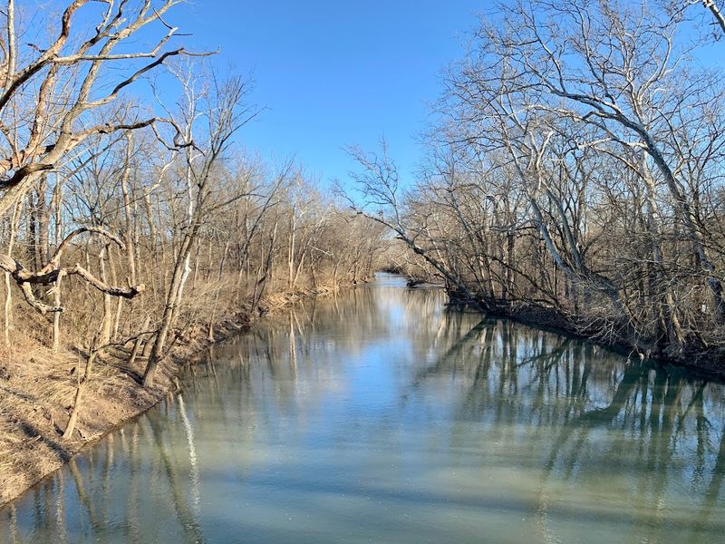 A Conservation Win Decades In The Making