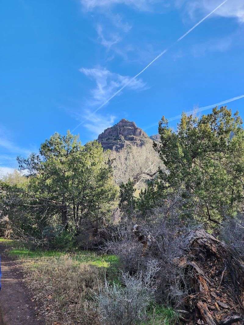The Rough Forest Road Makes Reaching Bull Pen Feel Earned