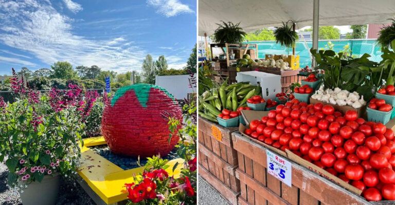 The Delaware Roadside Tomato Stand Every Tomato Lover Needs To Visit This Season
