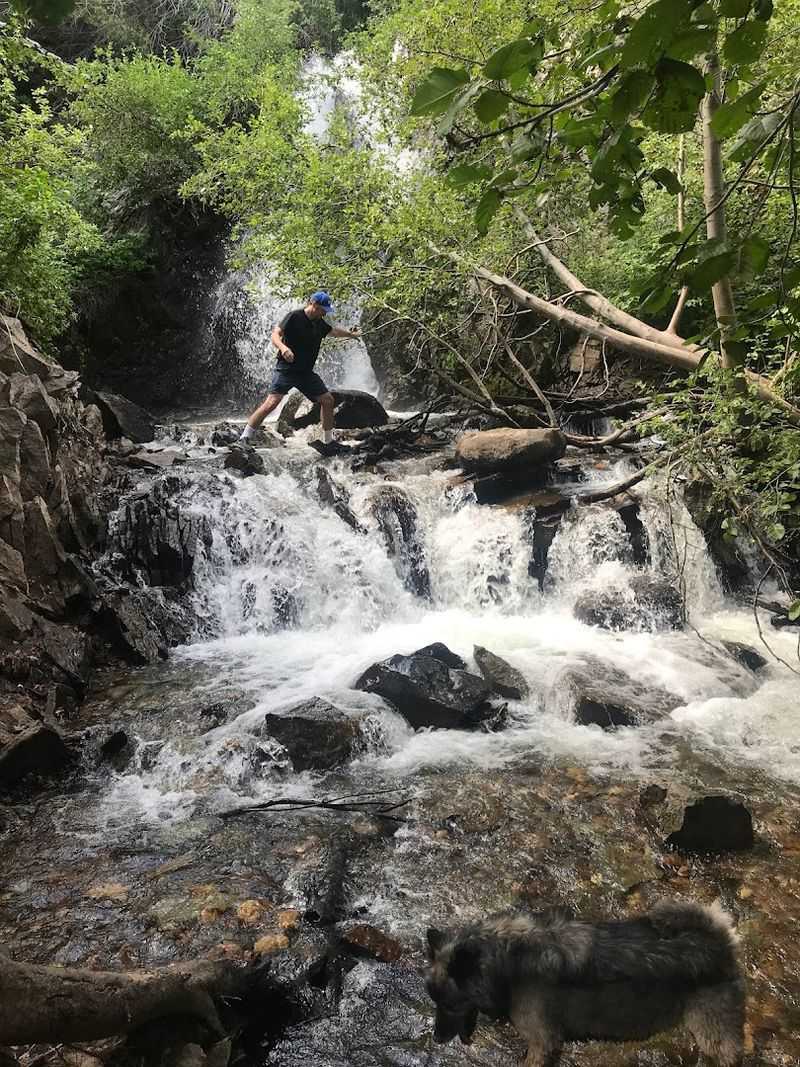 Creek Crossings That Add Real Adventure