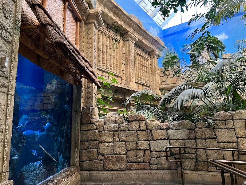 Conservation Is Baked Into the Blueprint