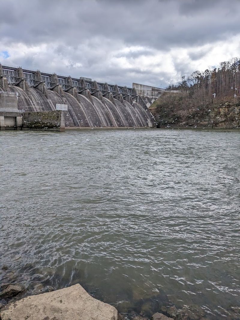 How Douglas Dam Shaped An Entire Landscape
