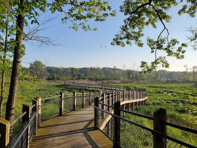 Galien River County Park Adds Boardwalks And Quiet Nature To The Trip