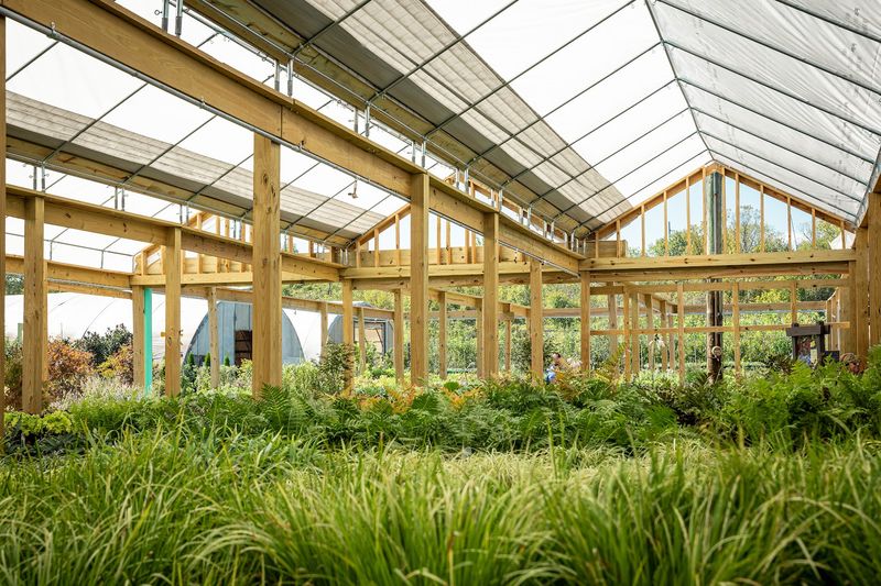 Unique Plant Varieties For Every Gardener