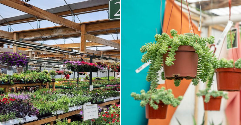 The Enchanting Tennessee Garden Market That Feels Like A Hidden Fairy Tale World