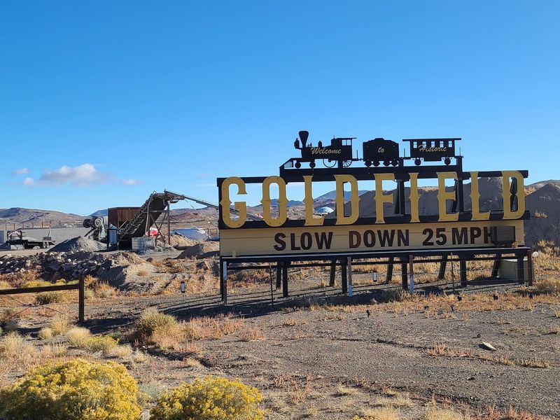 Wild Burros, Desert Roads, And The Spirit Of Goldfield Today