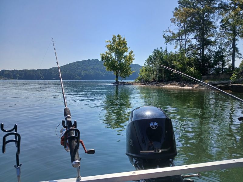 The Park Makes A Massive Alabama Lake Feel Surprisingly Accessible
