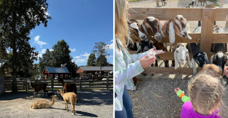 The Family-Owned Ohio Petting Farm Where Kids Can Feed Baby Animals All Weekend
