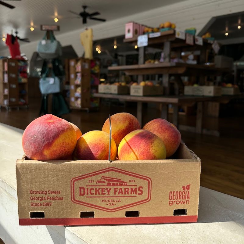 Seasonal Baked Goods Give Peach Lovers Another Reason To Stop