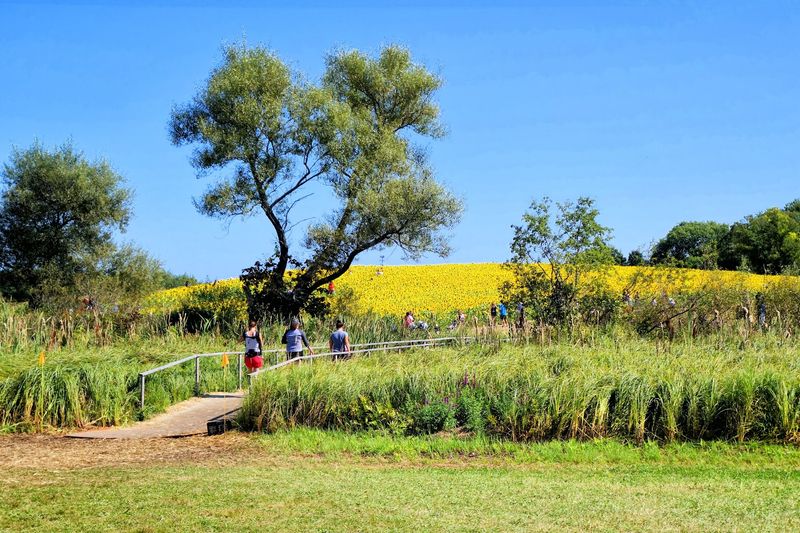 The Enduring Legacy Of Colby Farm