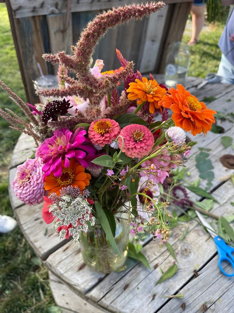 U-Pick Options And Bringing Fresh Blooms Home