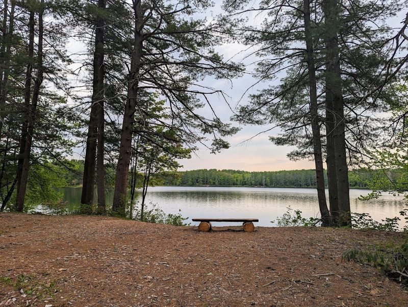 Angler's Patience, Nature's Bounty