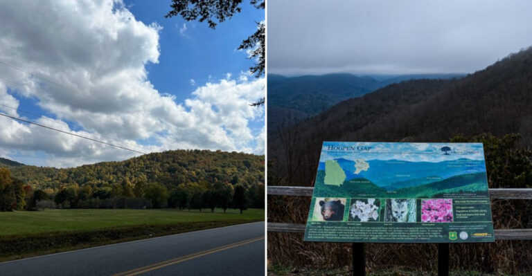 The Free Georgia Mountain Drive That Belongs On Every Scenic Road Trip List
