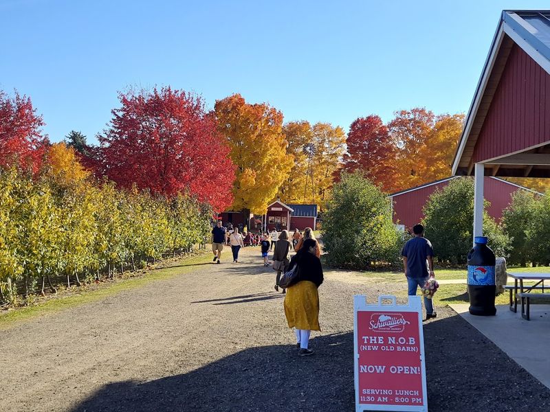 Wagon Rides Through The Orchard
