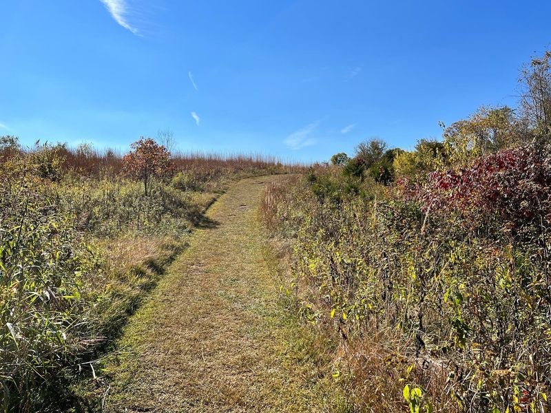 Meadow Trails That Wind Through Surprising Habitats