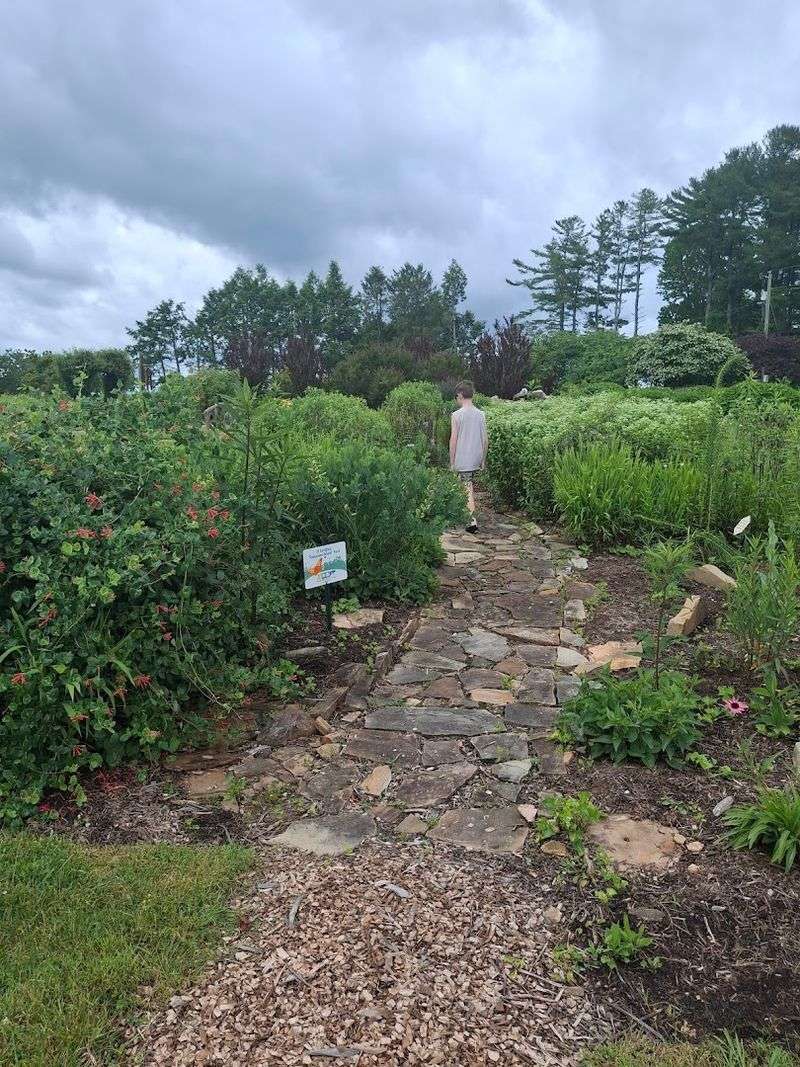 A Haven For Pollinators And Peaceful Reflection