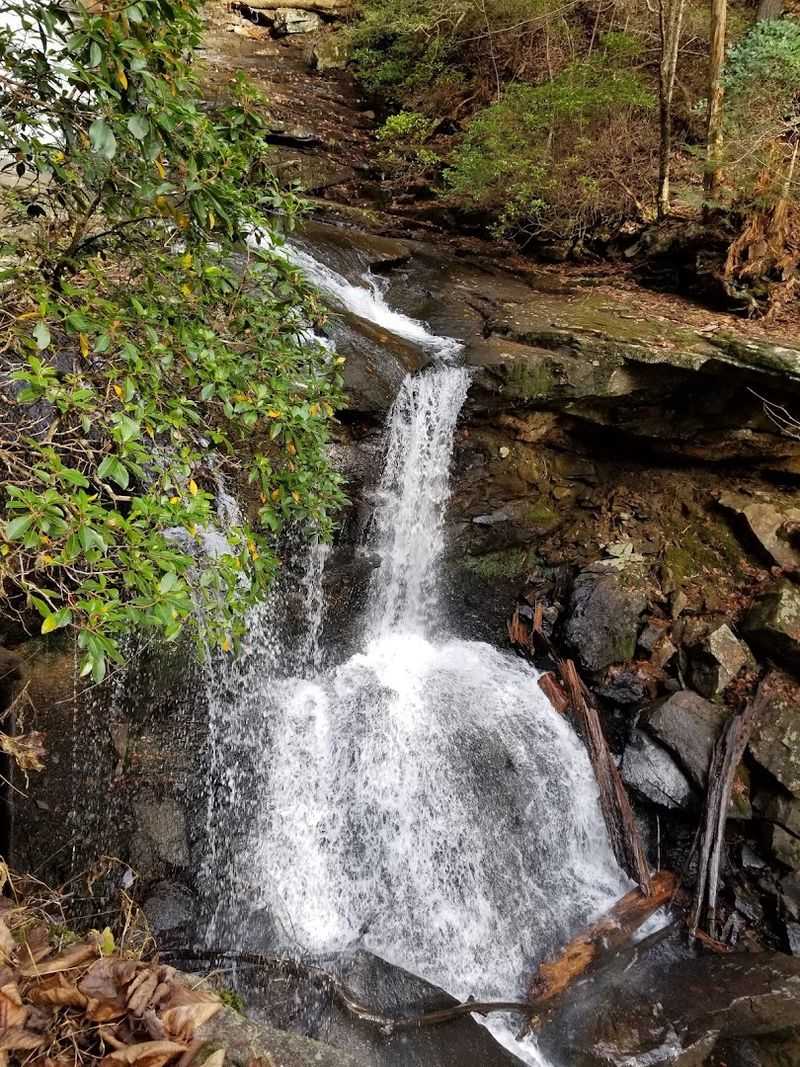 Descending To The Greater Plunge