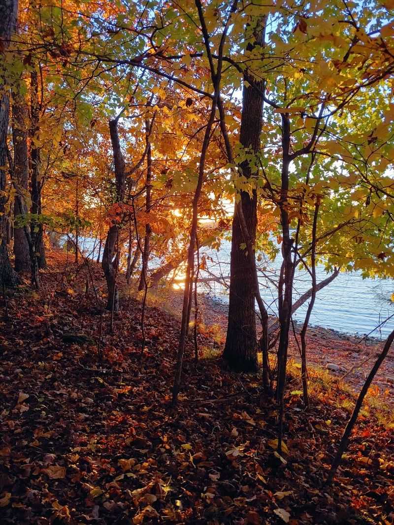 Seasons, Shade, And Shoreline Secrets