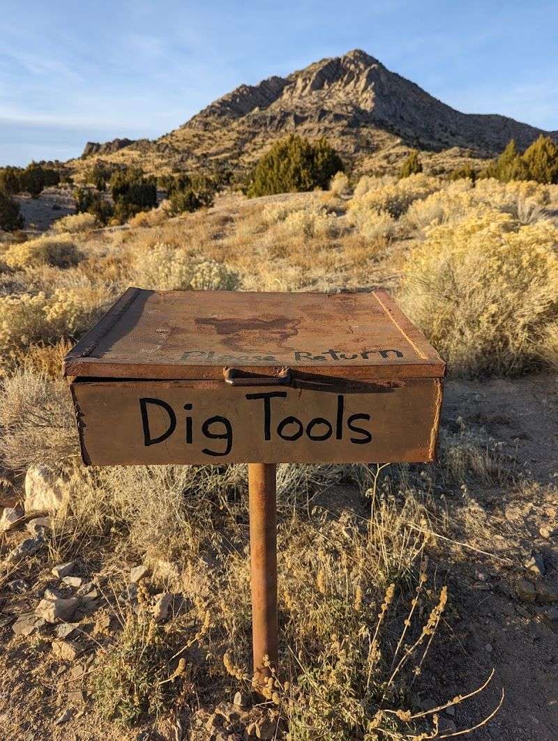 The Fascinating Fossil Stop Your Road Trip Needs