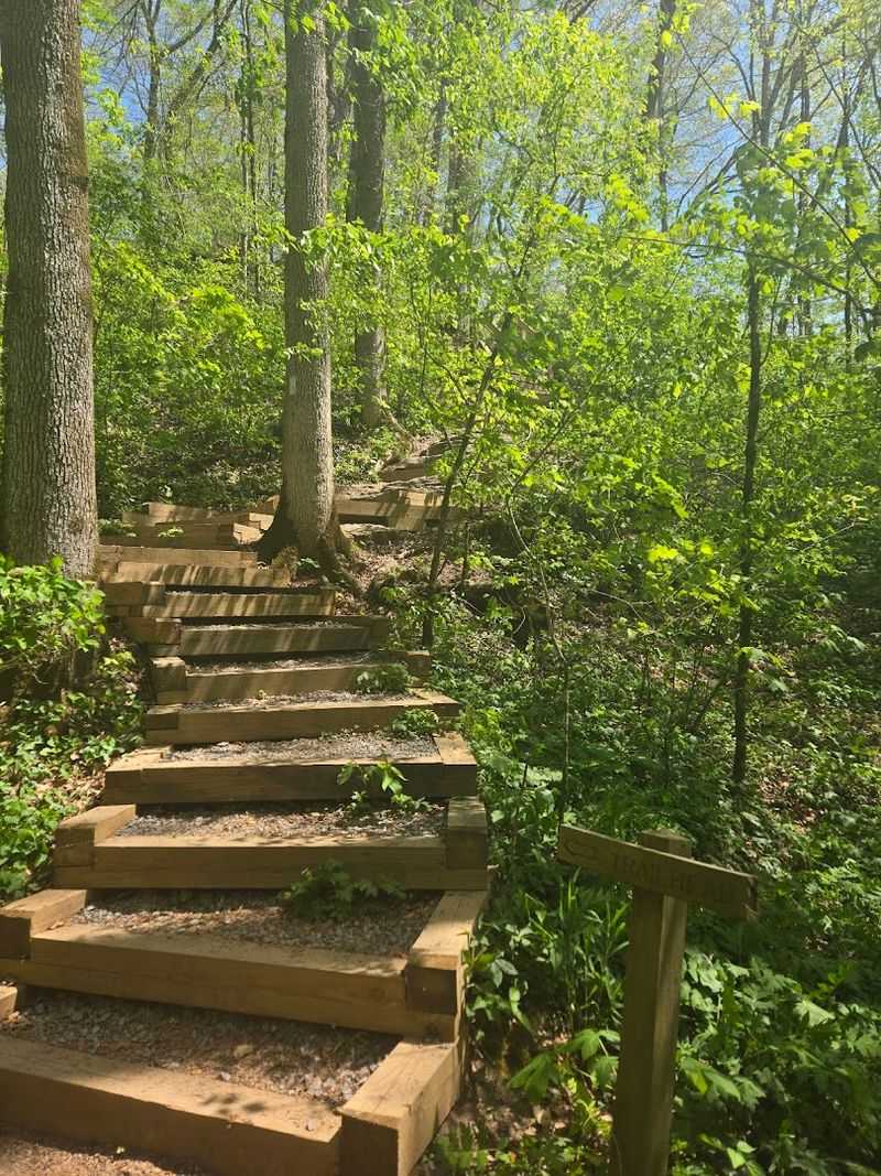 The Trail That Tests Your Legs
