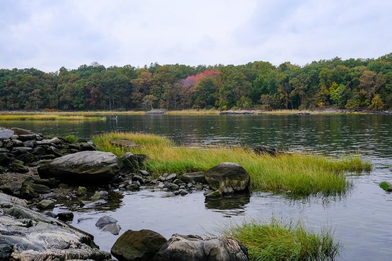 Pelham Bay Park, Bronx