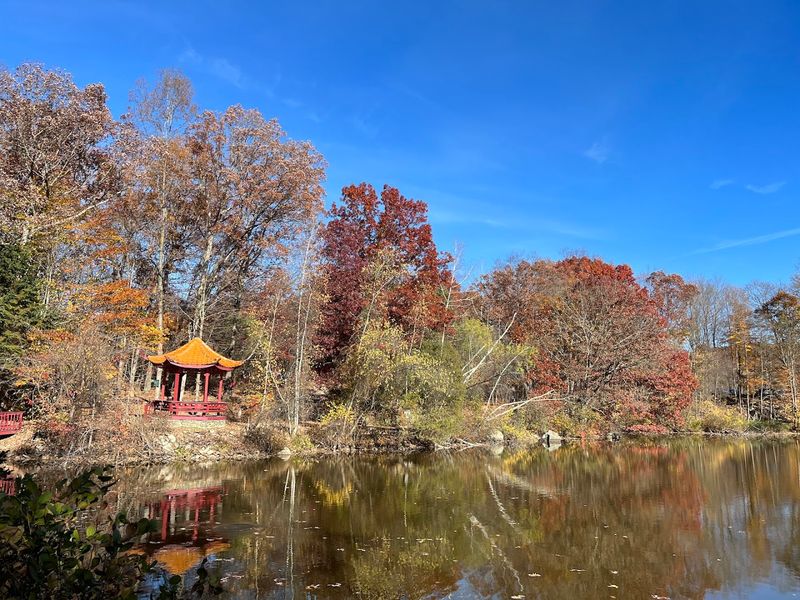 225 Acres Of Pure, Uncrowded Peace