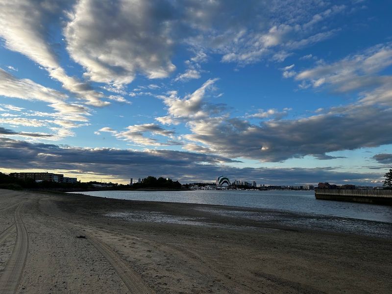 Tenean Beach And The Skyline