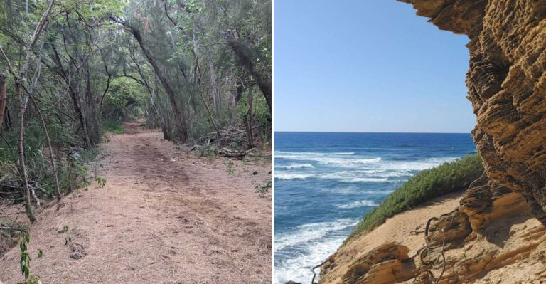 The Hawaii Coastal Bluff Walk That Locals Love And Tourists Often Miss