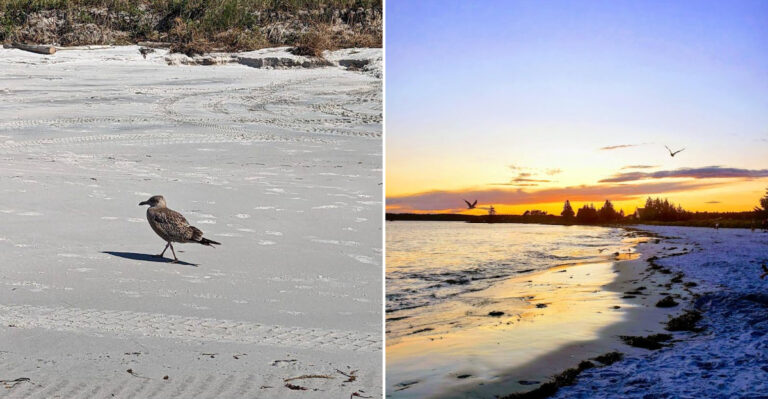 The Hidden Maine Cove That Offers One Of The Clearest Swimming Spots On The Atlantic Coast