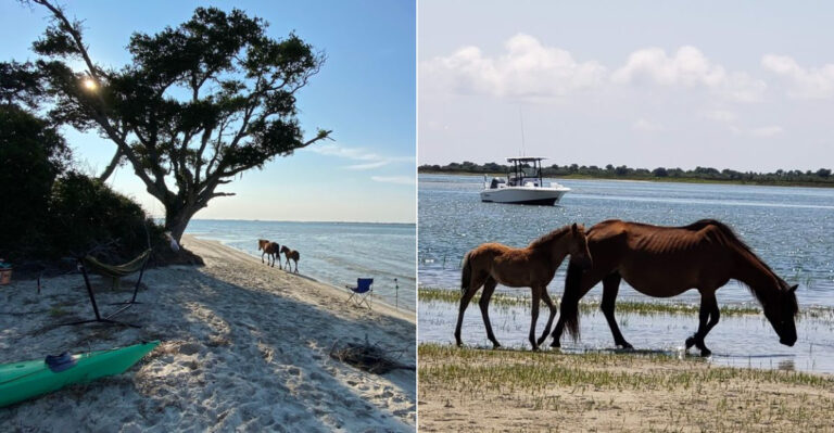 The Hidden North Carolina Beach Locals Rarely Mention But Visitors Never Forget