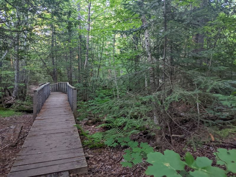 More Than 60 Miles Of Trails Begin Beyond The Quiet Streets