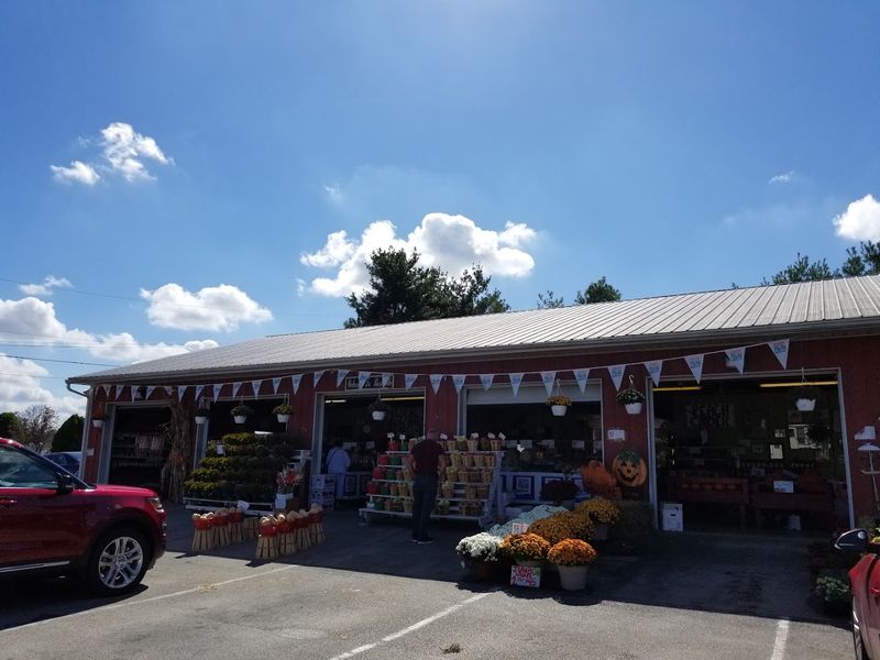 Origins And History Of The Sweet Corn Stand