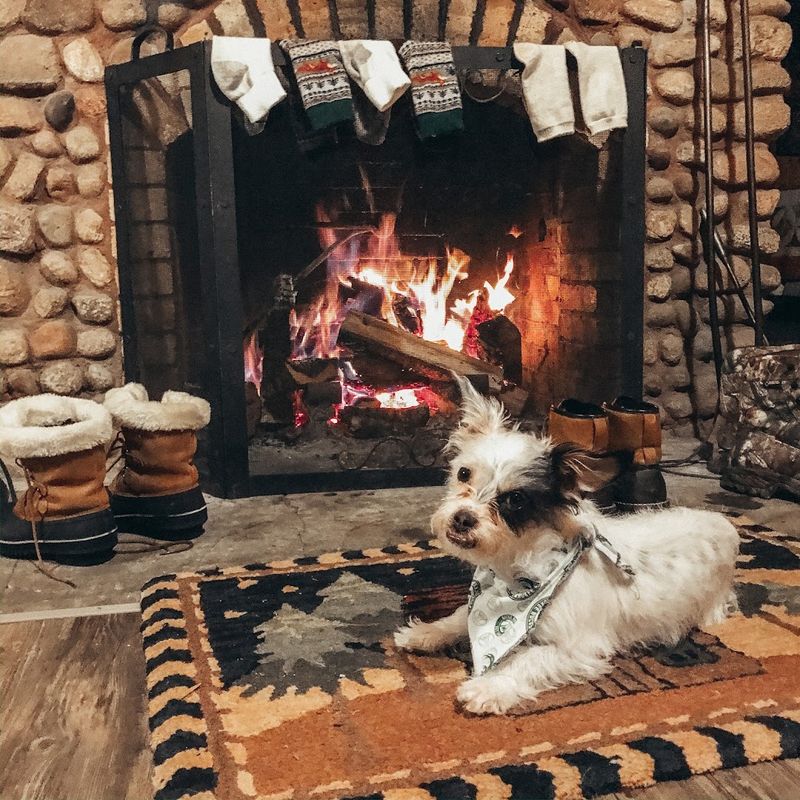 A Resort That Welcomes Four-Legged Family Members