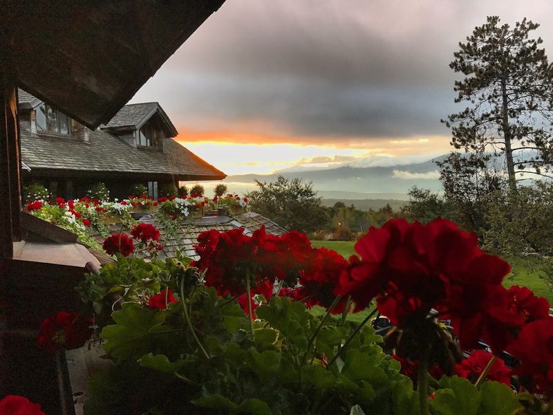 The Trapp Family Lodge and Its Unexpected Legacy