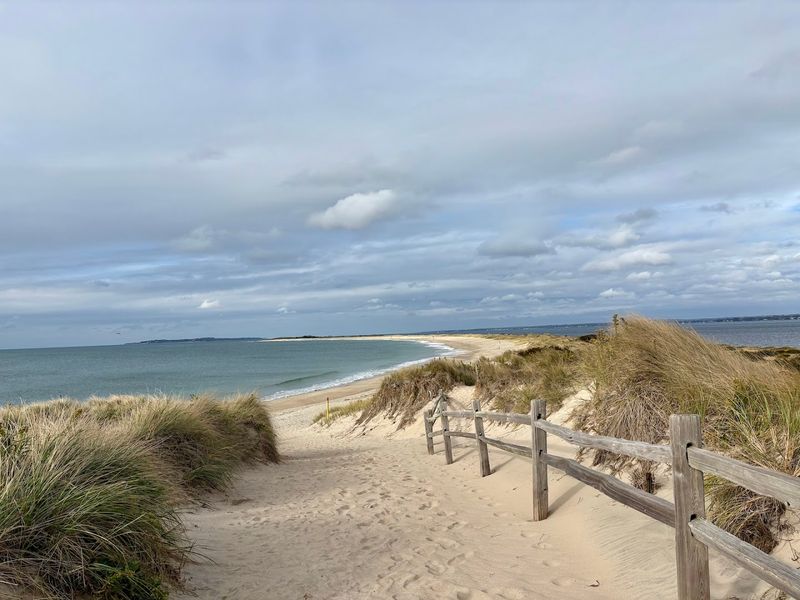 A Globally Important Bird Area Right On The Rhode Island Coast
