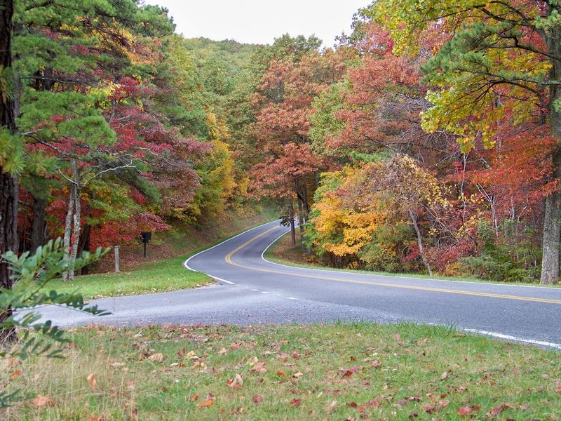 Plan Your Drive Today