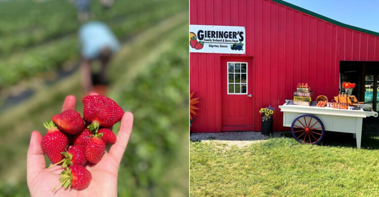 The Kansas Berry Farm Where You Pick Your Own Fruit And Enjoy Fresh Treats