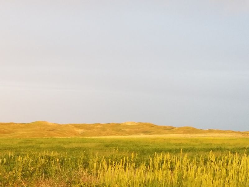 Prairie Skies Built For Stargazing