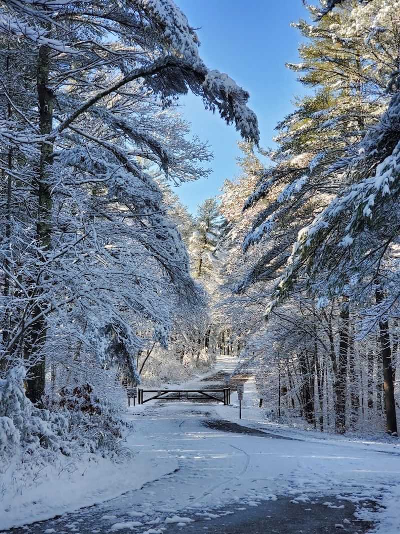 Massasoit State Park, East Taunton