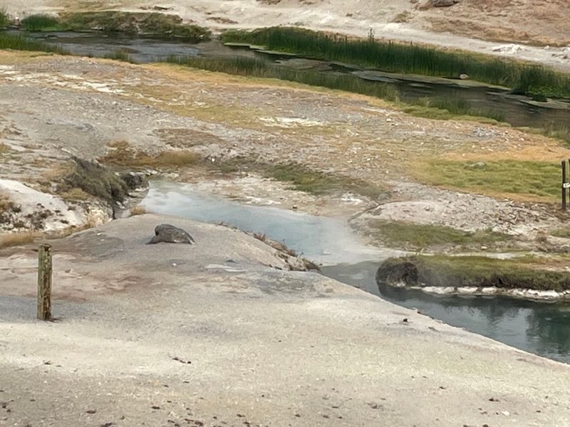 It's A Quick Trip From Mammoth Lakes